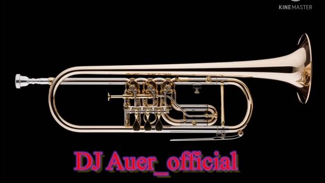 Timmy Trumpet Oracle REMIX DJ Auer_official смотреть онлайн