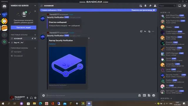 Обзор на бота Security Verification в ДС