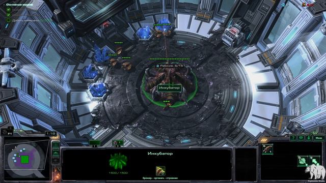 Прохождение StarCraft 2 Heart of the Swarm Эксперт. Задание 1 "Лабораторная крыса" смотреть онлайн
