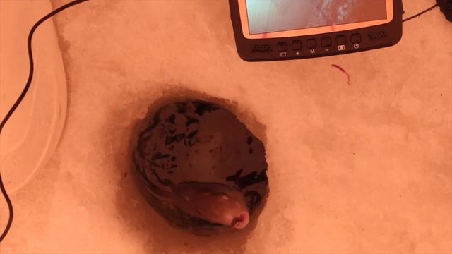 Огромный ЛЕЩ еле пролез в лунку! Тащу руками! Зимняя рыбалка 2021 с камерой VIEWEYE смотреть онлайн