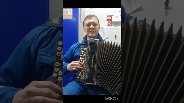 Казачьи песни - Там шли два брата (на БАЯНЕ) #тамшлидвабрата #казачьяпесня #казакилюбо смотреть онлайн