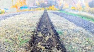 Дисковый окучник для мотоблока. Работа дисков.