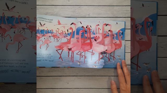 Pop-up Birds/ Usborne смотреть онлайн