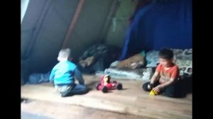 Повседневная жизнь в тундре 23 июля 2022 г.