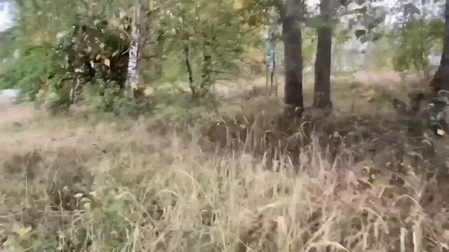 Я БУДУ НАПОМИНАТЬ ОБ ЭТОМ! КТО ТАКАЯ УРАЛОЧКА. ОЛЬГА УРАЛОЧКА LIVE. смотреть онлайн