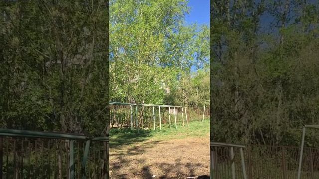 УТРЕННЯЯ ЗАРЯДКА НА СПОРТ ПЛОЩАДКЕ смотреть онлайн