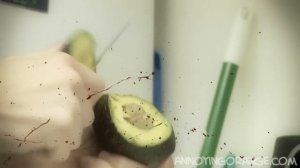 Annoying Orange - Going Walnuts