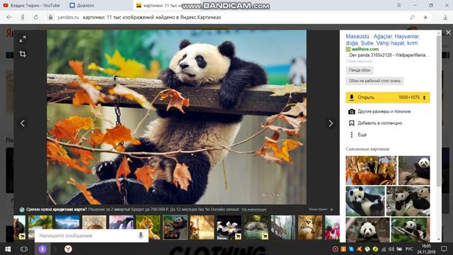 как поменять фон на виндоус 10 смотреть онлайн