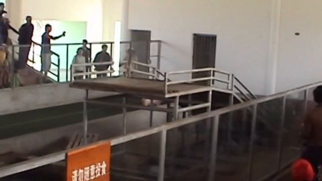 Аттракционы Китая, Шоу свиней смотреть онлайн