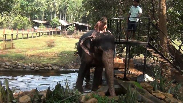 Индия, Плантации специй