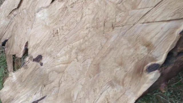 Распустил Маслину на слэбы. смотреть онлайн