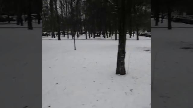 В природном-ландшафтном парке Теплый Стан Москва смотреть онлайн