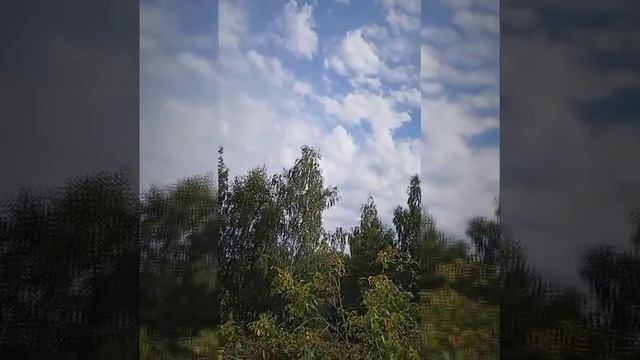 30 августа 2023г. Стих .Все пройдет !Читает Елена Сутько.(Алена.С) смотреть онлайн