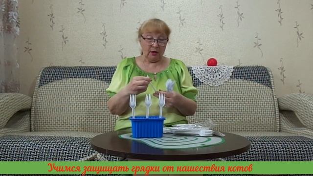 Как вилочки из пластика сберегут грядки от нашествия котов? Очень просто! Смотрите здесь. смотреть онлайн