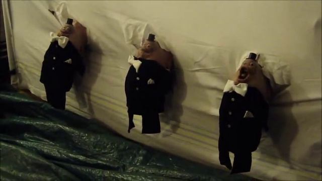 Mein Kleiner Grüner Kaktus