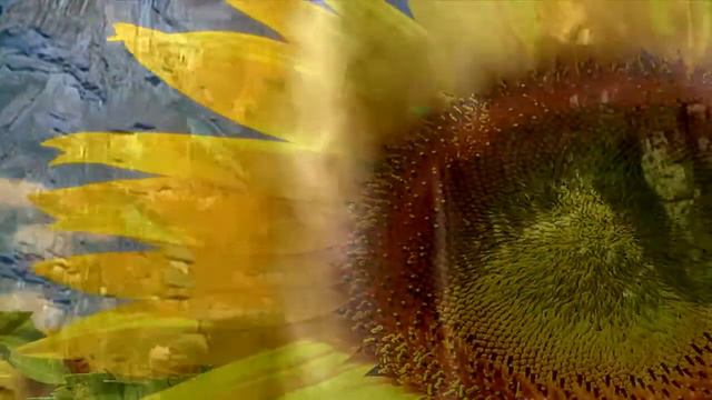 Ho Oponopono , Version Para Meditar...Homenaje Por Jesica Bianco