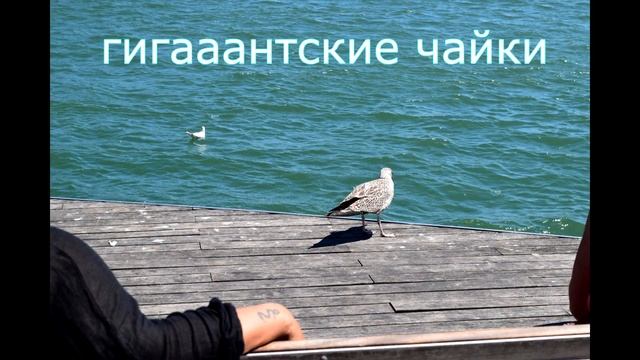 Испания. Улица LaRambla и кусочек порта Барселоны смотреть онлайн