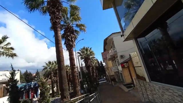 Лазаревское. 🌴Пальмы как в Лос - Анджелесе 😍🌴 смотреть онлайн