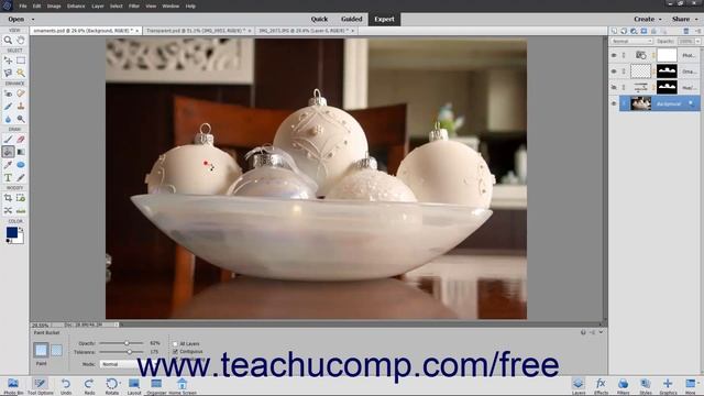 Learn How to Select Layers in Adobe Photoshop Elements 2022: A Training Tutorial смотреть онлайн