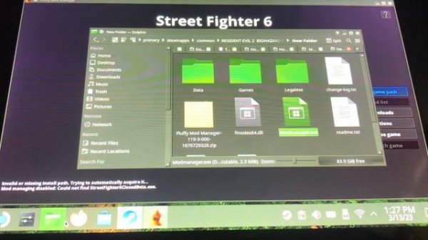 How to get Fluffy Manager 5000 working on Steam Deck ( RE4R ,SF6 ,RE2R , RE3R )
