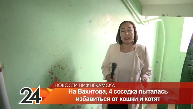 В Нижнекамске соседка пыталась отравить кошку и котят красным перцем смотреть онлайн