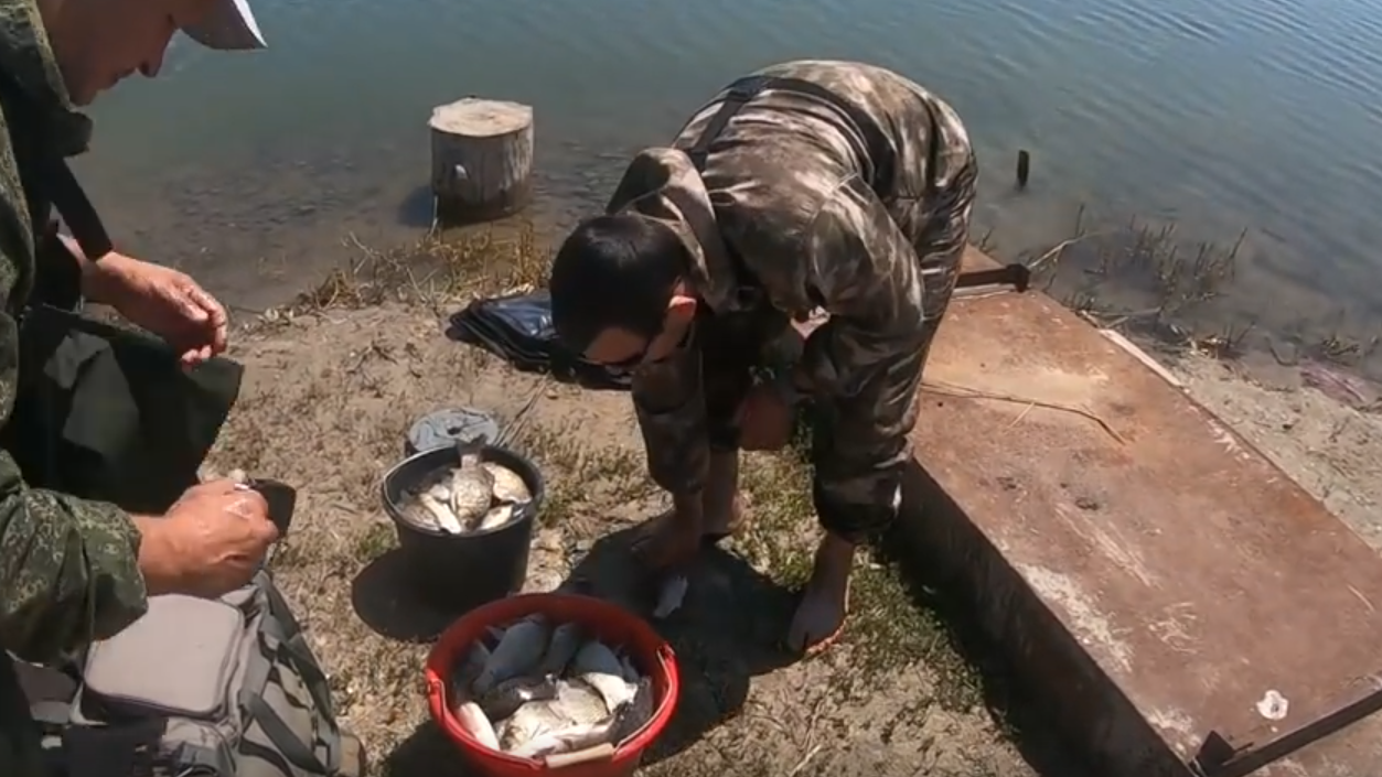 ЛОВЛЯ КАРАСЯ И САЗАНА ФИДЕРОМ НА СТОЯЧЕЙ ВОДЕ. БЕШЕННЫЙ КЛЕВ. ОТЛИЧНЫЙ УЛОВ ЗА КОРОТКОЕ ВРЕМЯ. смотреть онлайн