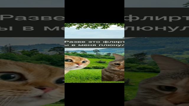 Котики в тренде 😻. #смешныеистории #юмор #смешныекотики #мемы смотреть онлайн