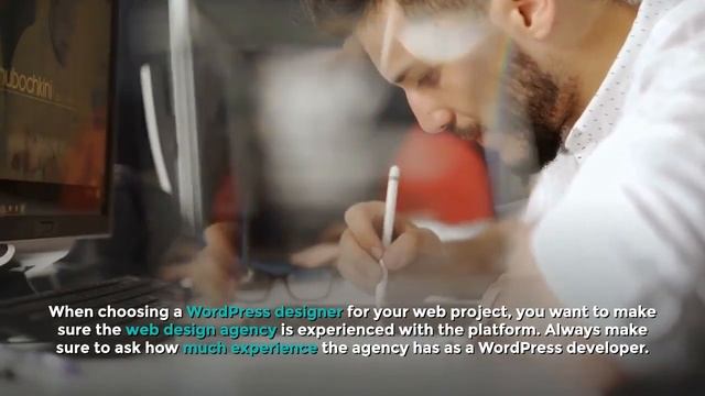What to Ask a WordPress Developer Before You Start a Web Project смотреть онлайн