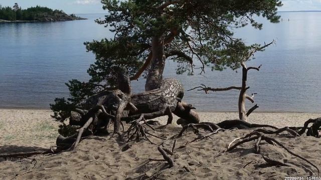 Тур Юнайт. Вышневолоцкий сегмент. 2022. Часть 3. Карелия: Каменногорск — Сортавала / СУБТИТРЫ ! смотреть онлайн