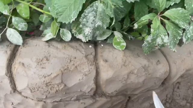 Арт-бетон. Клумба и дорожка из цемента своими руками 