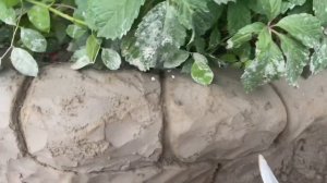 Арт-бетон. Клумба и дорожка из цемента своими руками "под камень".