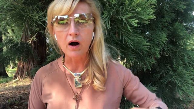 Елена Радий. Как поставить цели и успешно достичь. IKIGAI 18.07.19 смотреть онлайн