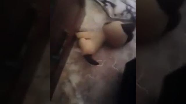 2 часть, Маленькая Киска стала злой! смотреть онлайн