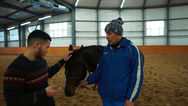 Выпуск # 10. Конный спорт. смотреть онлайн