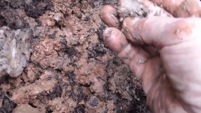 БАРСКИЕ ЯМЫ ЗА КВАРЦЕМ смотреть онлайн