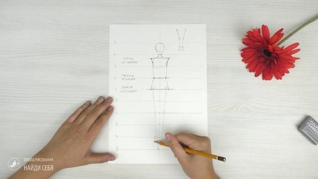 Пропорции fashion-модели. Урок fashion-иллюстрации? смотреть онлайн