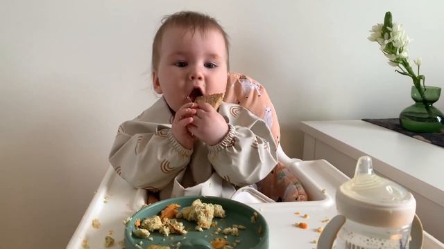 BLW: 6 месяцев и 2 недели ? Суфле из курицы и батат ?️Самоприкорм без монтажа ?? Будни мамы смотреть онлайн