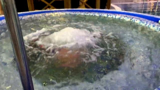 Alpen Park 5* // ЛУЧШИЙ СПА ОТЕЛЬ ТОЛЬЯТТИ //ОБЗОР Alpen Park 5* //Отдых с семьей смотреть онлайн