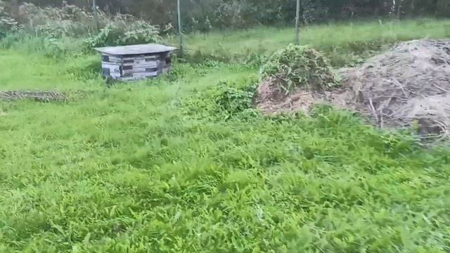 Абиссинская скважина в Новгородской области, деревня Гряды. смотреть онлайн