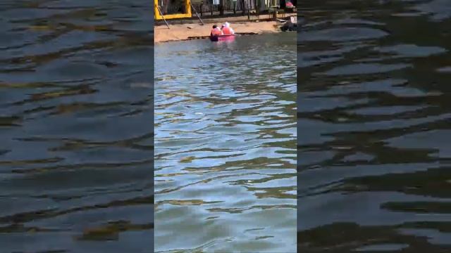 Johannesburg Zoo Lake. One Of Wander Full Places In Johannesburg City