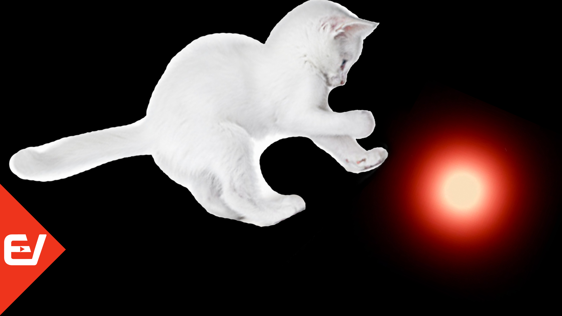 ? Лазер. Видео для кошек ? смотреть онлайн