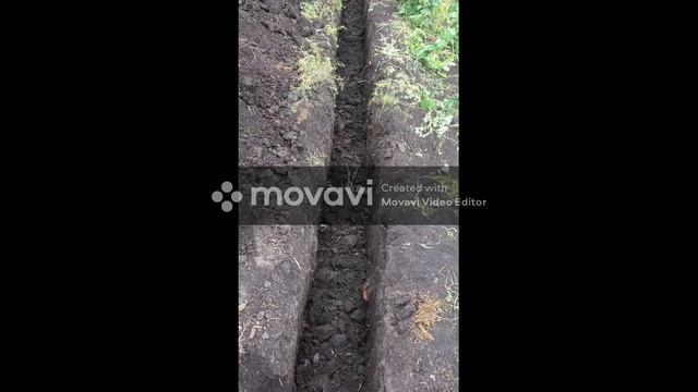 Сельские будни.Строю новый свинарник Своими руками . смотреть онлайн