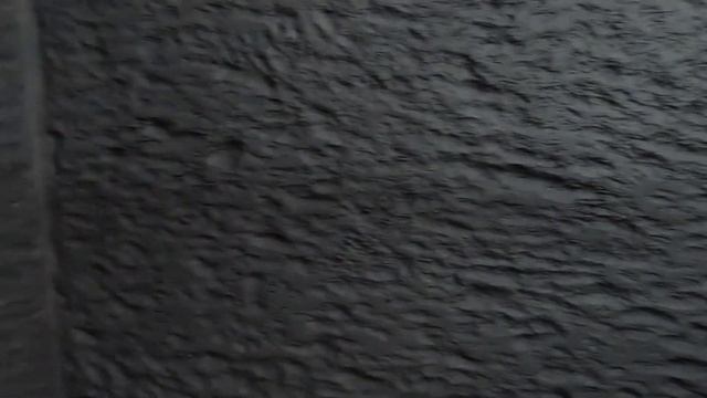 Green Tree Python Bioactive Enclosure Build! смотреть онлайн