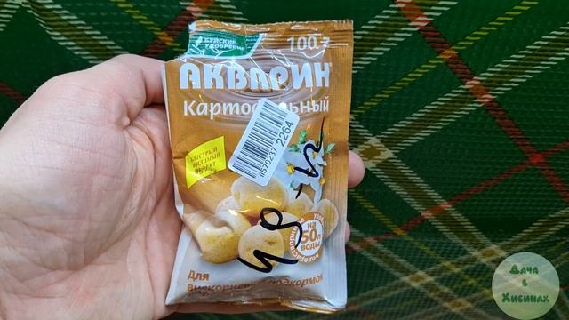 Я вырастил арбуз дома. Как вырастить арбуз. смотреть онлайн