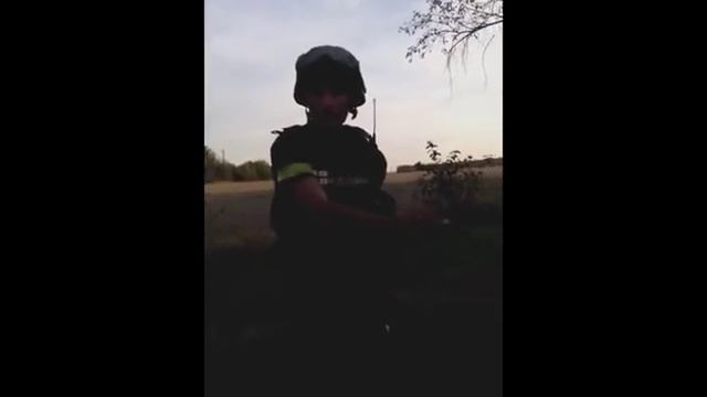 Доберман будем брить.Вот ее лицо смотреть онлайн