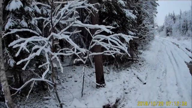 по следам волков смотреть онлайн