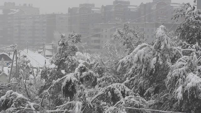 Абакан - Осень - Снегопад - Туман [4] смотреть онлайн