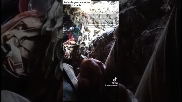 Нытье колумбийских наемников смотреть онлайн