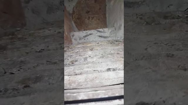 печь подового горения смотреть онлайн