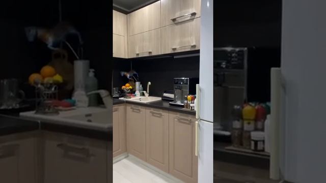 Замена фасадов кухонного гарнитура смотреть онлайн